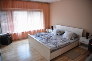 um quarto com uma cama num quarto com uma janela em Baranja green peace em Draž