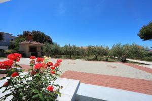 Gallery image of Apartmani Bruno in Bibinje