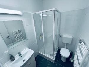 a bathroom with a shower and a toilet and a sink at Pensiunea CASA SPANDO in Mărişel