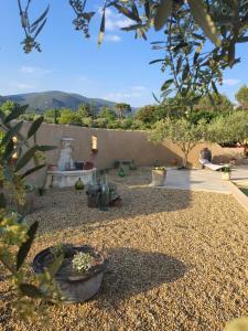 a garden with cacti and plants in a yard at Villa L'Estagniol in Lourmarin