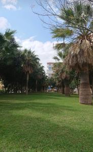 Ogród w obiekcie Apartamento Agata 510 Excelente con vista al mar!!!