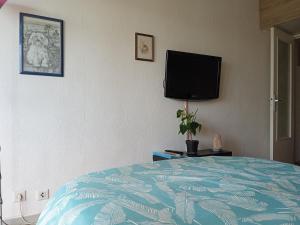 a bedroom with a bed and a flat screen tv at Studio proche gare centre ville in Pau