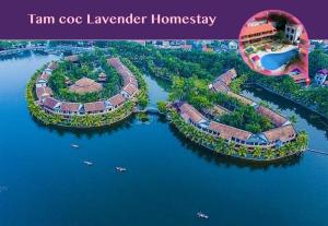 Tầm nhìn từ trên cao của Tam Coc Lavender Homestay