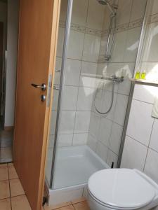 een badkamer met een douche en een toilet bij Apartment Hasselstrasse in Mehren