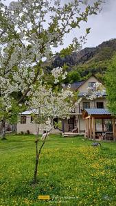 a tree with white flowers in front of a house at B&B House in Mestia