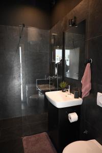 uma casa de banho com um lavatório e um espelho em Rooster apartments em Belgrado