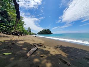 a beach with a tree branch laying on the sand at Posada El Esfuerzo in Nuquí
