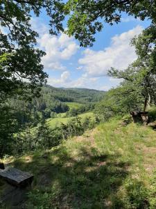 un banco en una colina con vistas a un valle en Haus - Pantenburg en Manderscheid