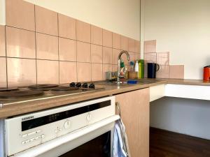 Kuchyň nebo kuchyňský kout v ubytování Bakland ad Lágafelli Apartment