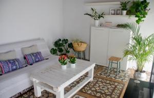 salon ze stołem i doniczkami w obiekcie Apartamentos San Hiscio w mieście Tarifa +7 zdjęć