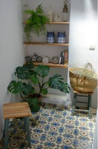 Zdjęcie z galerii obiektu Apartamentos San Hiscio w mieście Tarifa