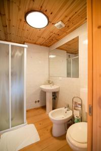 uma casa de banho com um lavatório, um WC e um chuveiro em Baita da Rico Zoncolan em Sùtrio