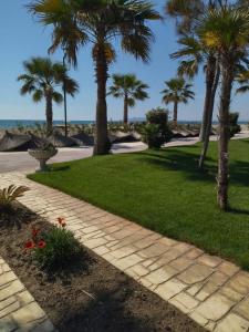 a walkway with palm trees in a park at Apartament Hana in Golem