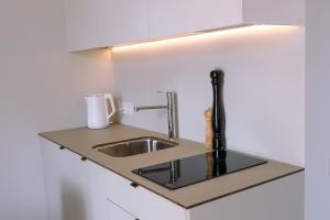 a kitchen counter with a sink and a light at Laiminga Smilga in Juodkrantė +15 photos