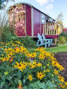 a house with a bench and flowers in the yard at The Feathers Shepherds Hut in Áth Eascrach