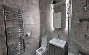 a bathroom with a toilet and a sink at Doncaster City Centre Deluxe Whole Apartment sleeps 4 D2 in Doncaster