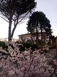 a garden of white flowers in front of a building at Hostelry Music Repetition in Écully