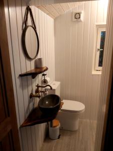 a bathroom with a sink and a toilet at The Feathers Shepherds Hut in Áth Eascrach