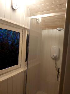 a bathroom with a shower with a window in it at The Feathers Shepherds Hut in Áth Eascrach