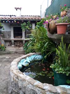 einen Fischteich in einem Garten mit Pflanzen und Blumen in der Unterkunft Apartamento Tui, Casa da Barca in Tui