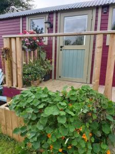 Um jardim no exterior de The Feathers Shepherds Hut