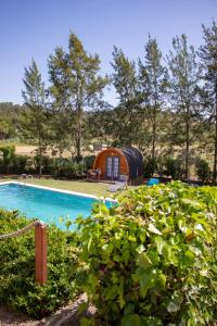 yurta con piscina y algunas plantas en Alfaro'95, en Azambuja