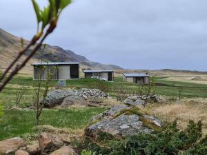 een huis in het midden van een veld met rotsen bij Krákhamar Apartments in Djúpivogur