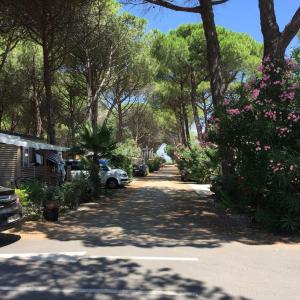 wysadzana drzewami ulica z samochodami zaparkowanymi po stronie w obiekcie Mobile Home OuiReves 113 facing the Mediterranean w mieście Sète
