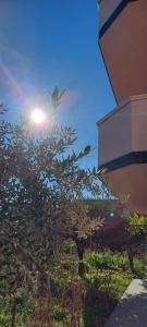 un oiseau volant dans le ciel au-dessus d'un arbre dans l'établissement Appartamento L'Ulivo, à Brancaleone Marina