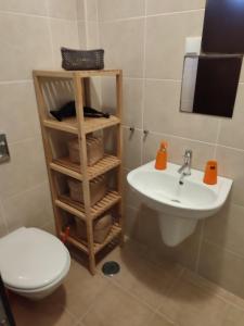 ナザレにあるApartamentos Carbel Marのトイレと洗面台付きのバスルーム +34枚の写真