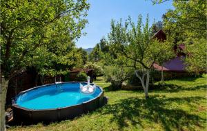 a pool in the yard with a swan in it at Awesome Home In Lic With Wifi in Lič