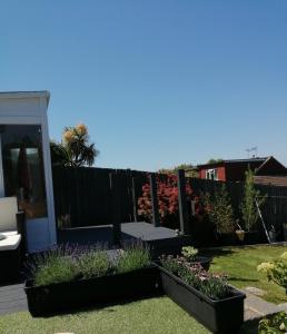 un jardín con algunas plantas en un patio en South Downs View en Brighton & Hove
