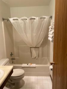 a bathroom with a toilet and a tub with a shower curtain at Americas Best Value Inn Kadoka in Kadoka