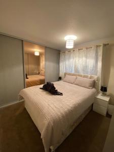 Säng eller sängar i ett rum på Dunfermline, 2 bedroom home free on street parking