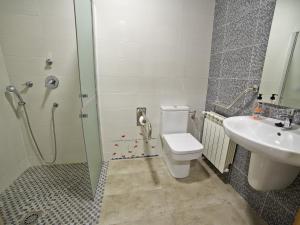 メリーデにあるAlbergue Pereiroのバスルーム(シャワー、トイレ、シンク付)
