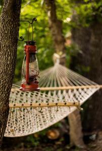 a bird feeder in a hammock hanging from a tree at Van Camping - Do Something Different! in Landrum