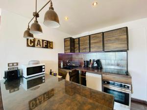 a kitchen with a counter top with a microwave at La Venise Annécienne - Studio climatisé, parking privé gratuit, proche gare in Annecy