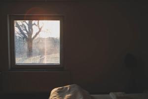 ein Fenster in einem dunklen Zimmer mit einem Baum draußen in der Unterkunft Kmetija Pečnik in Prevalje