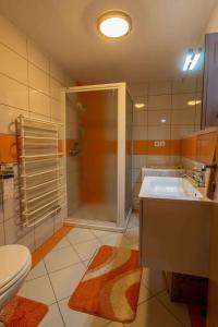 ein Badezimmer mit Dusche, Waschbecken und Toilette in der Unterkunft Holiday home in Novo Mesto - Dolenjska Bela krajina Unter- Weißkrain 42895 in Novo Mesto