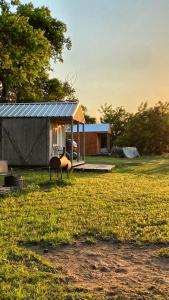 a house with a tent in the middle of a field at Tiny Cabin at the DonkeyRanch in Medicine Park