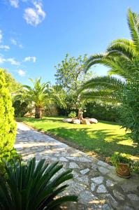 a garden with palm trees and a stone walkway at Villa Hermosa in Jávea