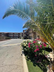 Gallery image of Palms Inn & Suites in Palmdale