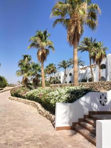 einen Weg mit Palmen und Blumen vor einem Gebäude in der Unterkunft Coral Bay Roby in Sharm El Sheikh