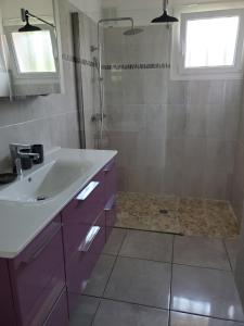 un bagno con lavandino e doccia di Villa catalane avec grand jardin, au calme, mer et montagne a Sorède