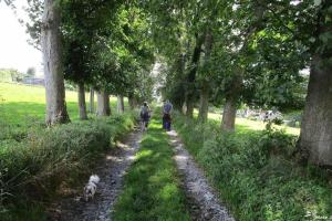 A garden outside La douce Rive