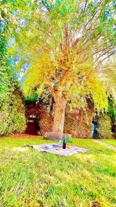 A garden outside La douce Rive