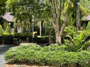 Garden sa labas ng Khaokhab Lodge