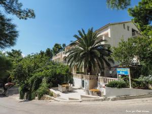 a building with a palm tree next to a street at Villa Petra in Brela