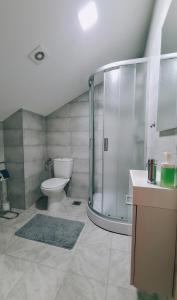 e bagno con servizi igienici e doccia in vetro. di Cozy room Peny a Karlovac