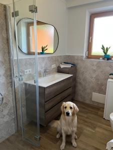 un chien assis à même le sol dans une salle de bains dans l'établissement MILLIEs hosting - Familienurlaub mit Hund in Kärnten, à Sankt Paul im Lavanttal